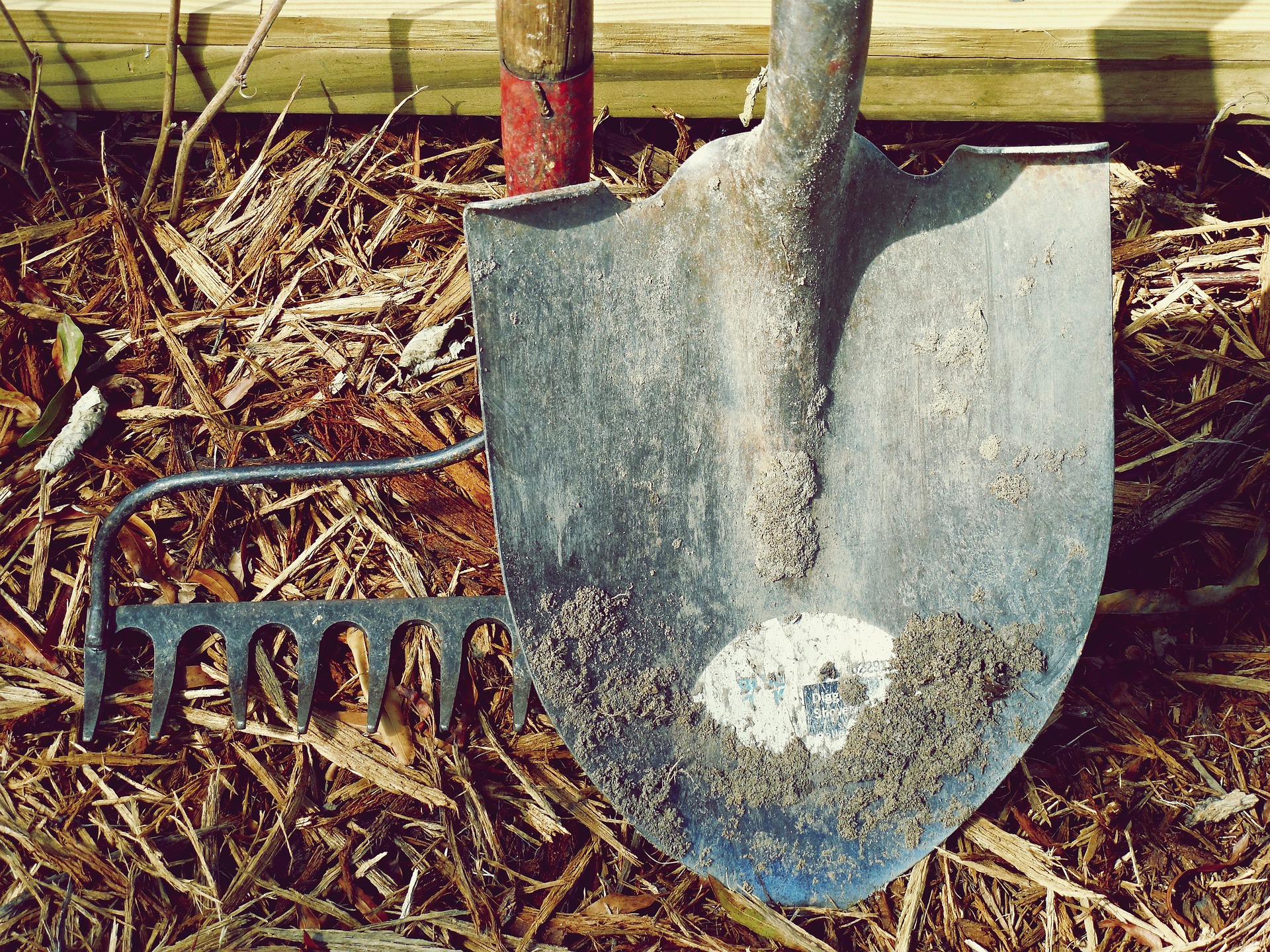 Survival Shovels