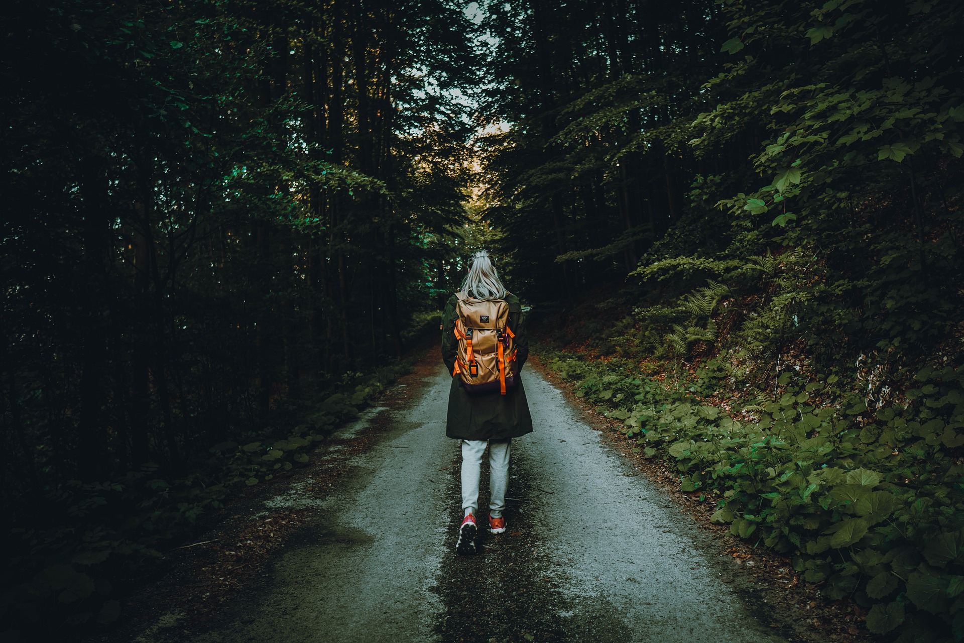 The Long Road Ahead
