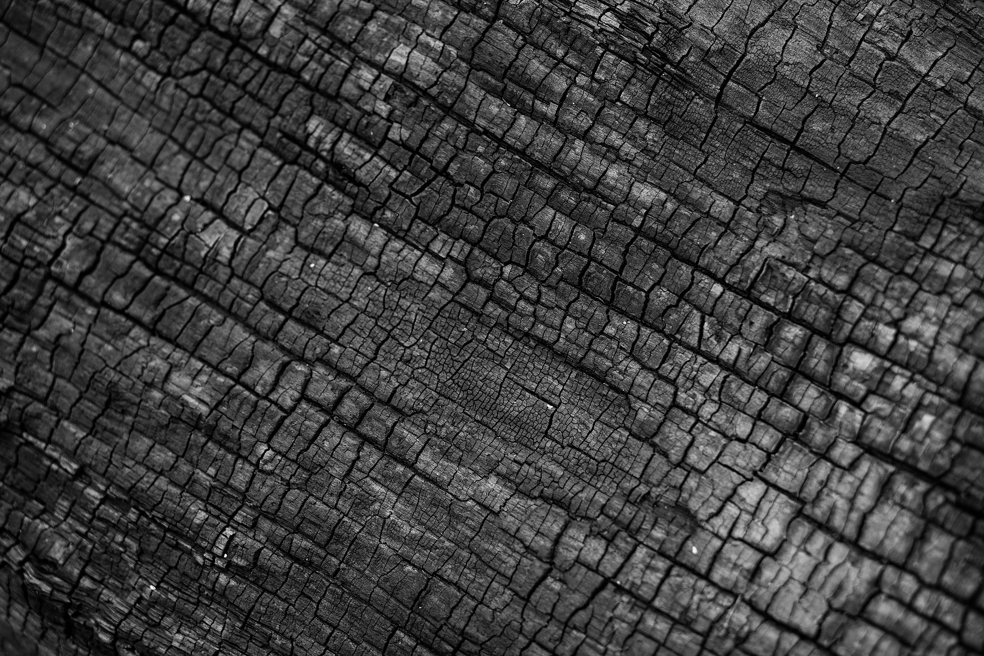 30 Uses For Wood Ashes